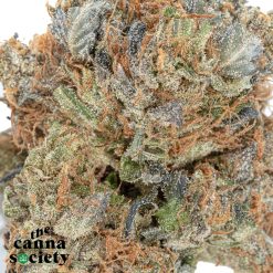 Alternative view of Bluefin Tuna Kush (AAA+)