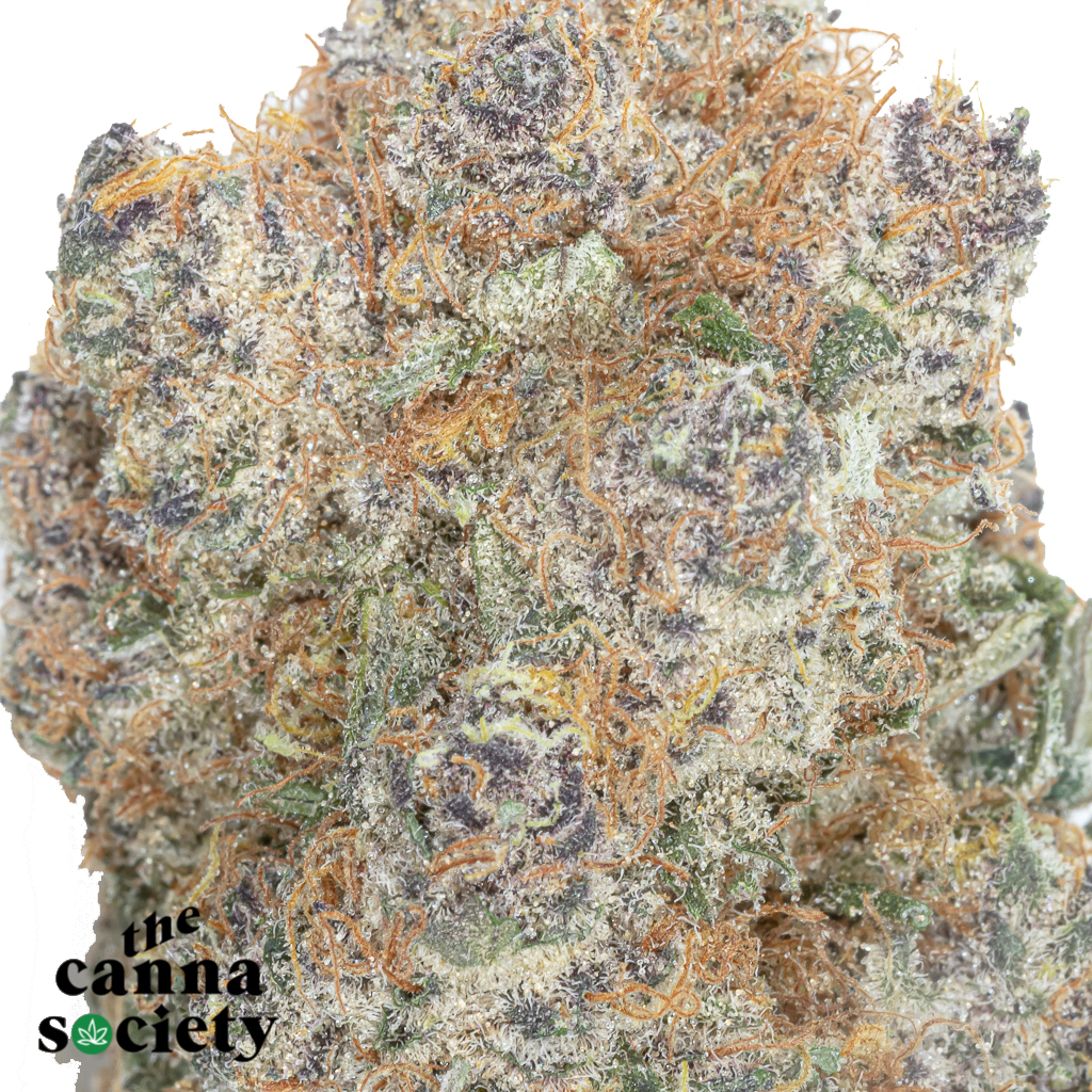 Super Boof (AAAA+) - Image 2