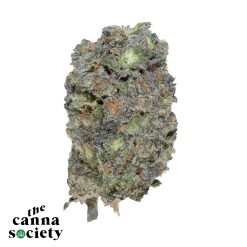 Frosted Gelato (AAAA+)