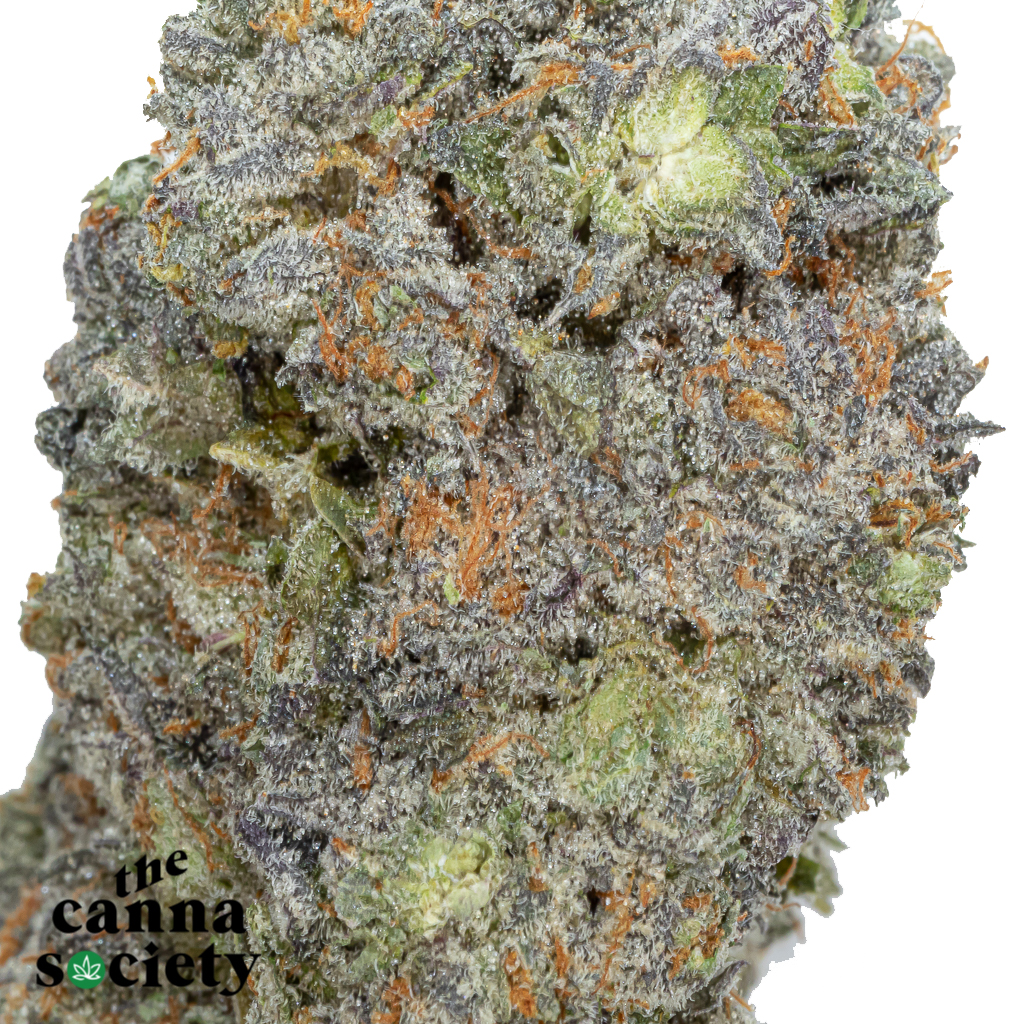Frosted Gelato (AAAA+) - Image 2