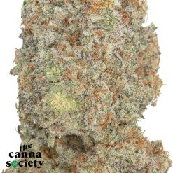 Alternative view of Mango Tango  (AAAA)