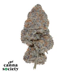 Strawberry Cough (AAAA+)