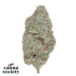 Pineapple God (AAAA+)