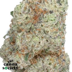 Alternative view of Grey Goose (AAAA+)