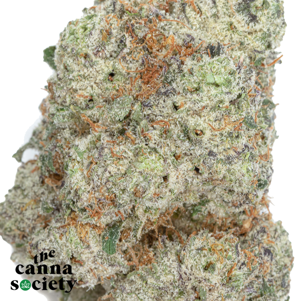 Grey Goose (AAAA+) - Image 2