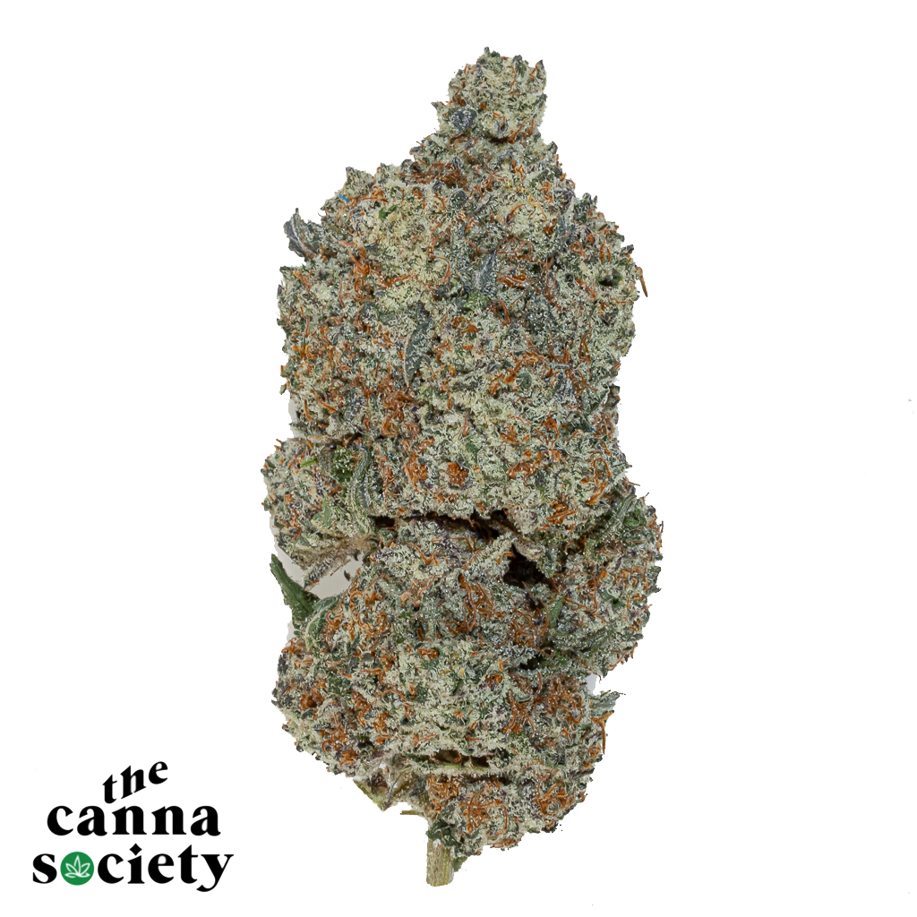 Love Potion #1 (AAAA+)